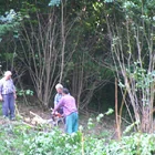 20112308130806-503.jpg